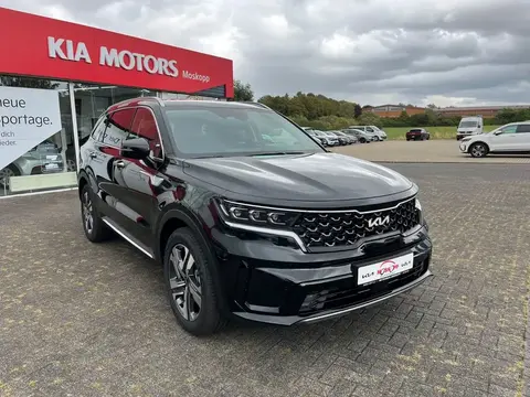 Annonce KIA SORENTO Hybride 2023 d'occasion 