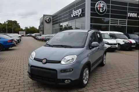 Used FIAT PANDA Petrol 2024 Ad 