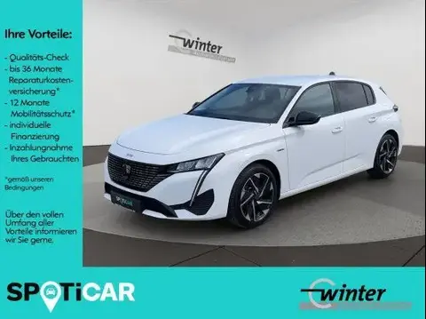 Used PEUGEOT 308 Hybrid 2023 Ad 