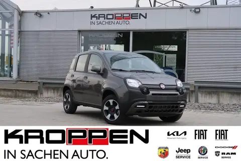 Used FIAT PANDA Petrol 2023 Ad 