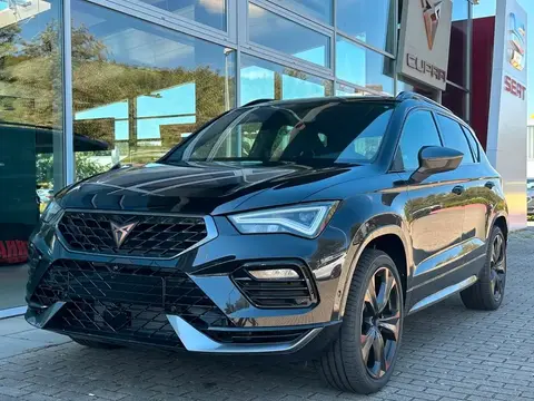 Used CUPRA ATECA Petrol 2023 Ad 