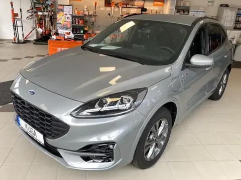 Annonce FORD KUGA Hybride 2024 d'occasion 