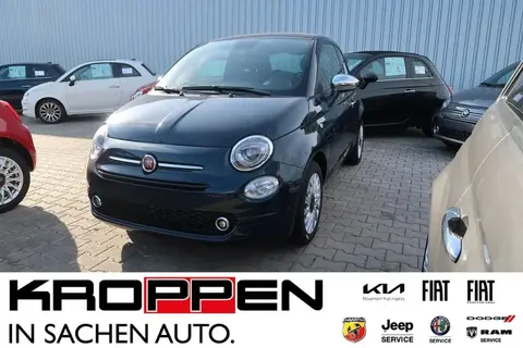 Used FIAT 500 Petrol 2023 Ad 