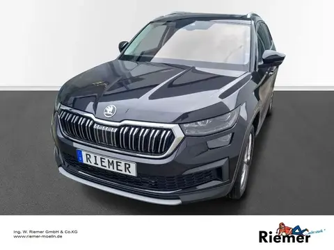 Annonce SKODA KODIAQ Diesel 2024 d'occasion 