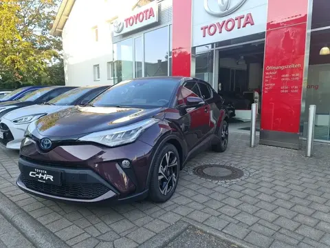 Used TOYOTA C-HR Hybrid 2023 Ad 