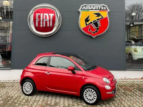 Used FIAT 500 Petrol 2023 Ad 