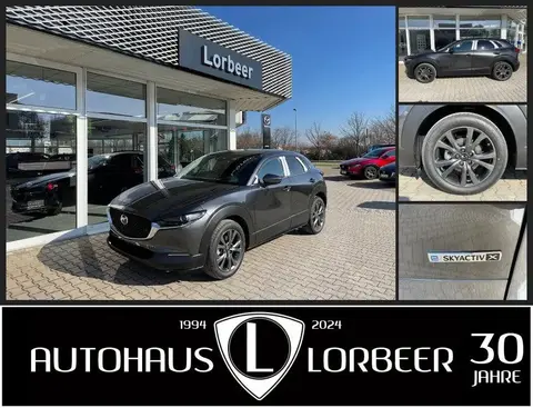 Used MAZDA CX-30 Petrol 2023 Ad 