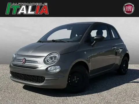 Used FIAT 500 Petrol 2023 Ad 