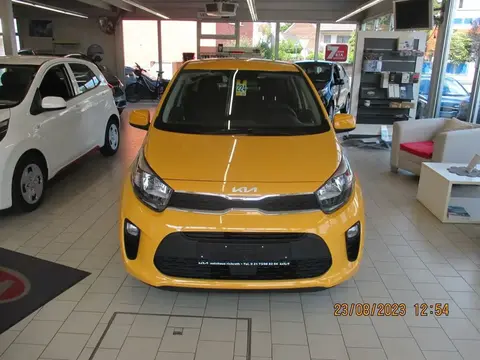 Used KIA PICANTO Petrol 2023 Ad 