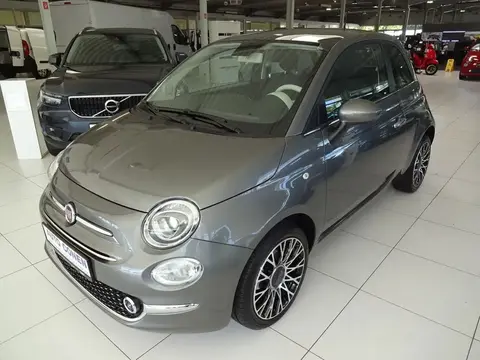 Used FIAT 500 Petrol 2023 Ad 