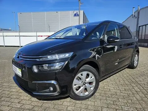 Annonce CITROEN C4 Essence 2019 d'occasion 