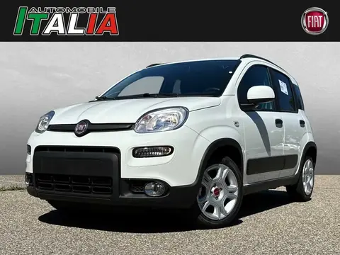 Used FIAT PANDA Petrol 2023 Ad 