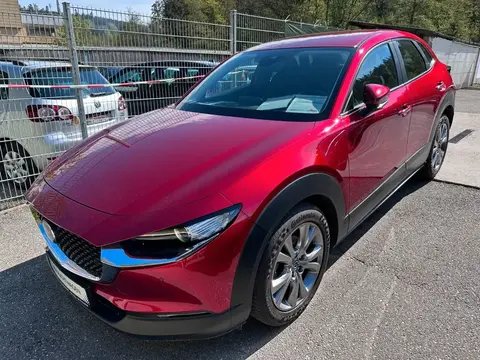 Annonce MAZDA CX-30 Essence 2022 d'occasion 