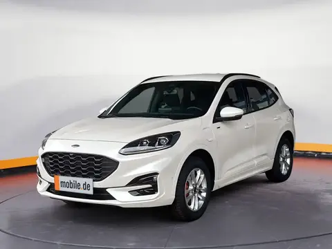 Used FORD KUGA Hybrid 2022 Ad 