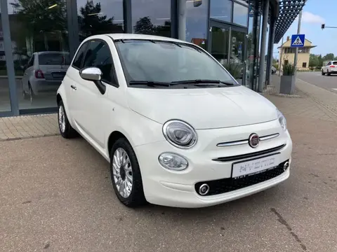 Used FIAT 500 Petrol 2023 Ad 