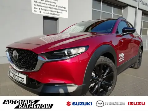 Annonce MAZDA CX-30 Essence 2024 d'occasion 