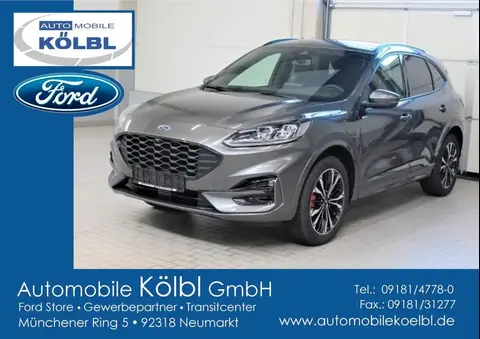 Used FORD KUGA Hybrid 2024 Ad 