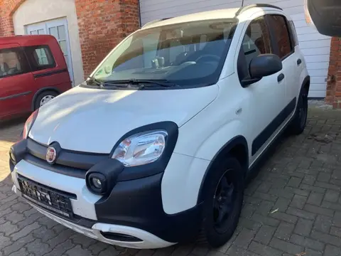 Used FIAT PANDA Petrol 2020 Ad 