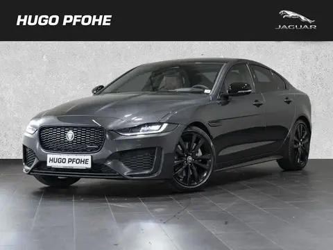 Used JAGUAR XE Diesel 2024 Ad 