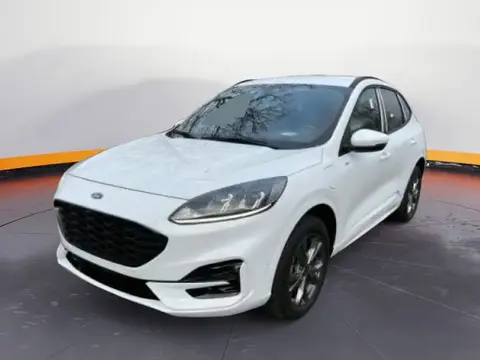 Used FORD KUGA Hybrid 2022 Ad 