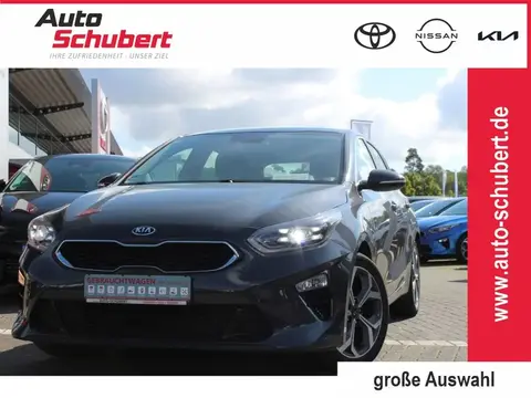 Used KIA CEED Petrol 2019 Ad 