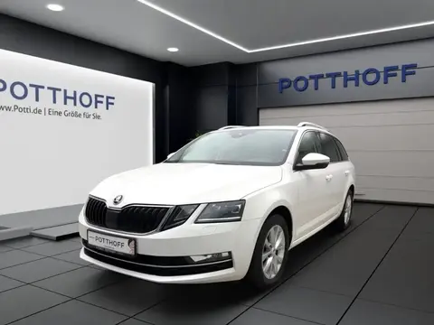 Used SKODA OCTAVIA Diesel 2019 Ad 