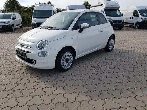 Used FIAT 500 Petrol 2023 Ad 