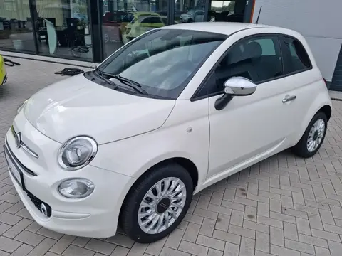 Used FIAT 500 Petrol 2023 Ad 