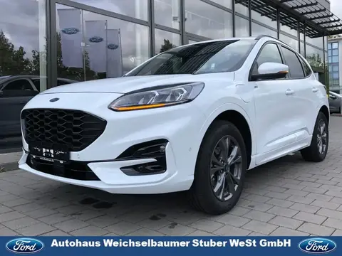 Used FORD KUGA Hybrid 2022 Ad 