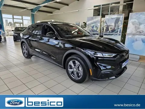 Used FORD MUSTANG Not specified 2023 Ad 