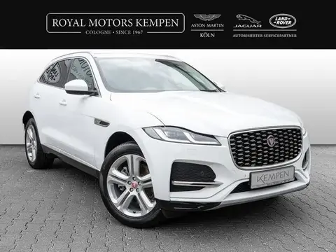 Used JAGUAR F-PACE Petrol 2022 Ad 