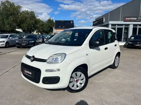 Used FIAT PANDA Petrol 2018 Ad 