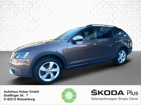 Annonce SKODA OCTAVIA Diesel 2019 d'occasion 