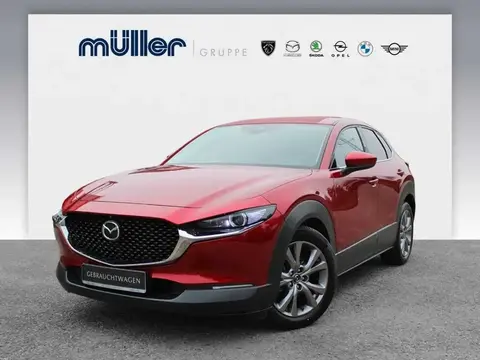 Used MAZDA CX-30 Petrol 2019 Ad 