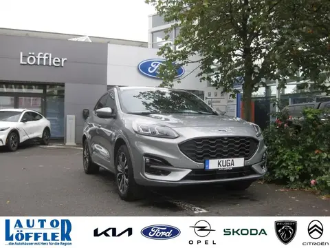 Used FORD KUGA Hybrid 2024 Ad 