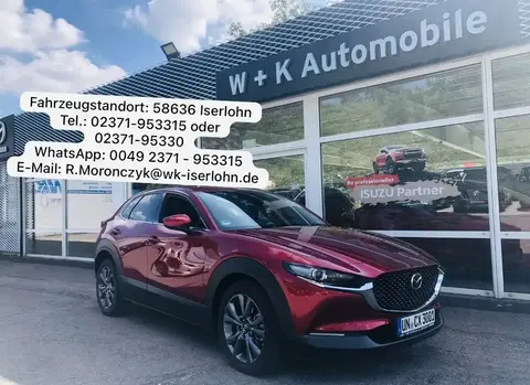 Annonce MAZDA CX-30 Essence 2023 d'occasion 