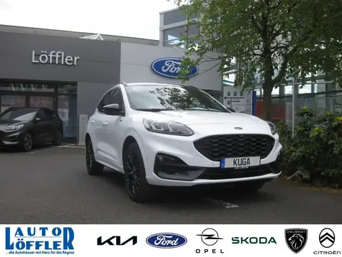 Used FORD KUGA Diesel 2024 Ad 