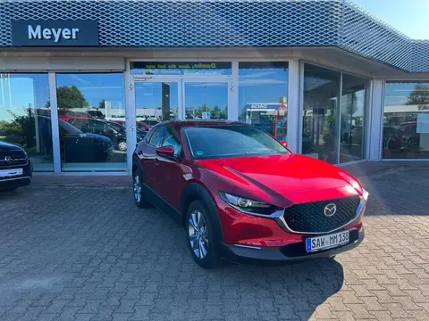 Annonce MAZDA CX-30 Hybride 2023 d'occasion 