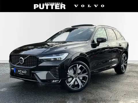 Annonce VOLVO XC60 Diesel 2024 d'occasion 