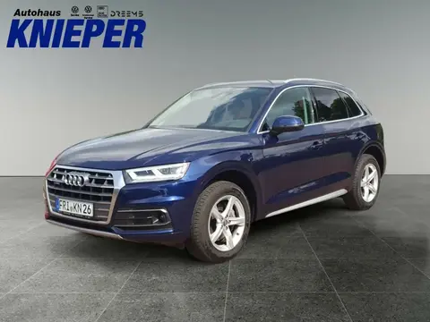 Used AUDI Q5 Diesel 2019 Ad 