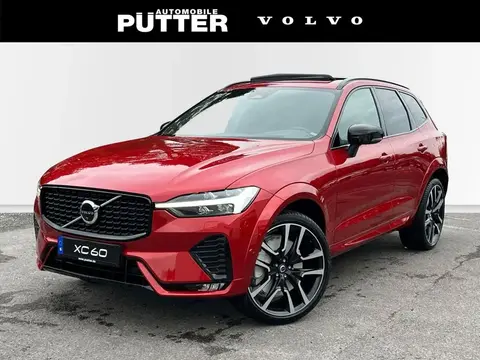 Annonce VOLVO XC60 Diesel 2024 d'occasion 