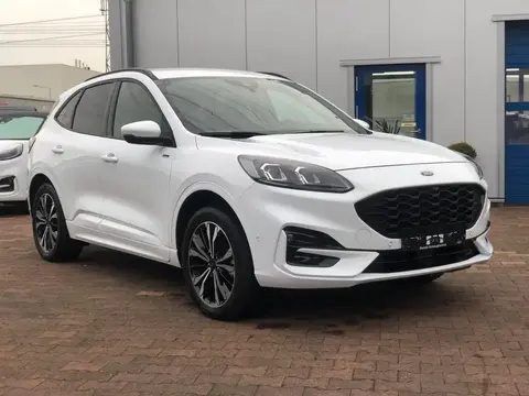 Annonce FORD KUGA Essence 2021 d'occasion 