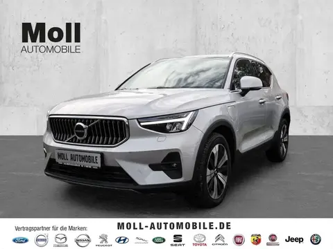 Used VOLVO XC40 Hybrid 2023 Ad 