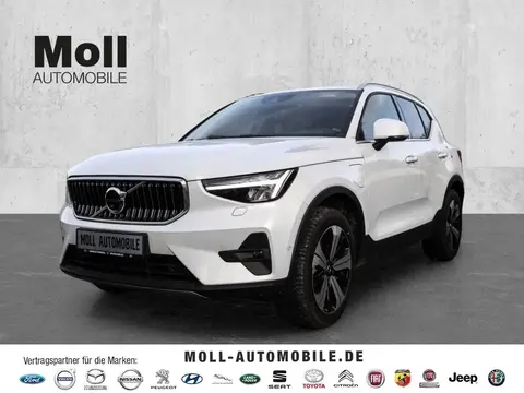 Used VOLVO XC40 Hybrid 2023 Ad 