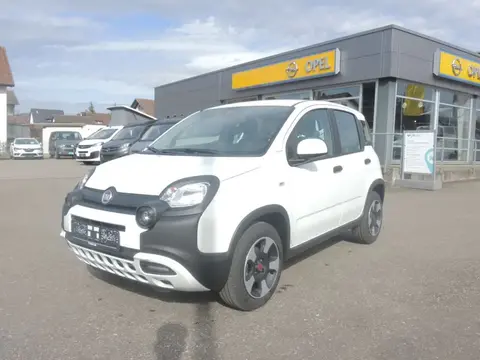 Annonce FIAT PANDA Essence 2023 d'occasion 