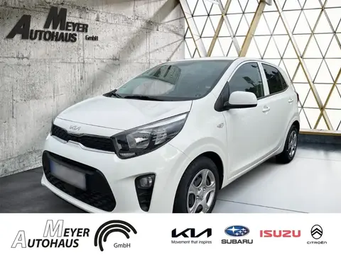 Used KIA PICANTO Petrol 2023 Ad 