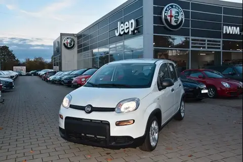 Annonce FIAT PANDA Essence 2023 d'occasion 