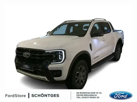 Used FORD RANGER Diesel 2023 Ad 