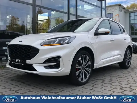 Annonce FORD KUGA Hybride 2023 d'occasion 