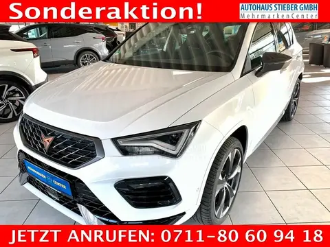 Annonce CUPRA ATECA Essence 2023 d'occasion 